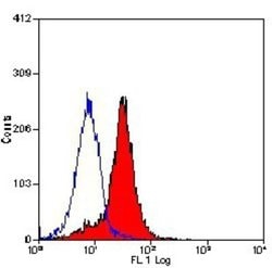 Syndecan-1/CD138 Antibody (B-A38), Novus Biologicals Syndecan-1/CD138 Antibody;